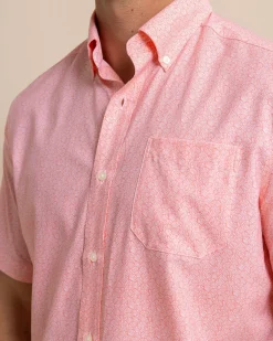 Shop Southern Tide Brrr° Intercoastal What The Shell Short Sleeve Sport Shirt Conch Shell